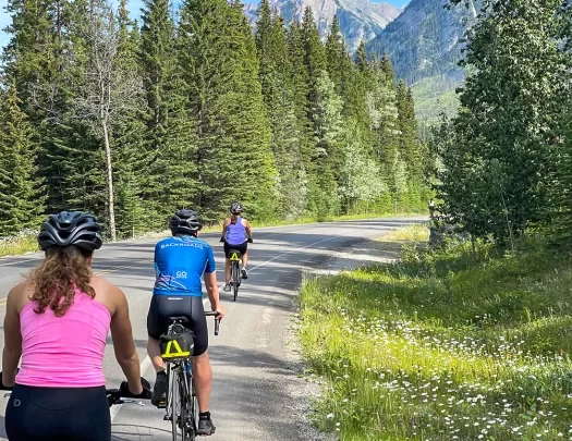 Three guests cycling down road, trees, mountains around them.