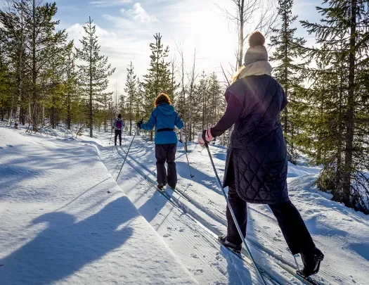 Cross Country Skiing Arctic