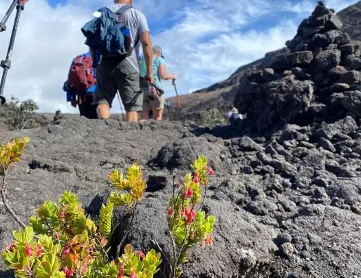 Walking among lava rocks in Hawaii