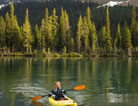 Guest kayaking in lake, forest, hills in distance.