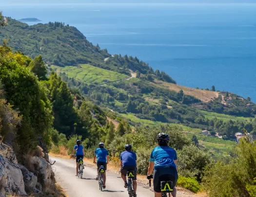 Four guests cycling down coastal road, hillside, ocean in distance.