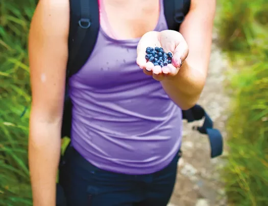 Guest holding blueberries.