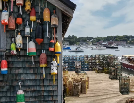 Shot of wooden fishing shack, buoys, small boats, lobster/crab traps.