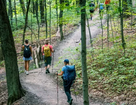 Six guests hiking through forested area, small bridge on path.