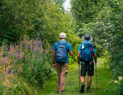 Two guests hiking down grassy path, lilac bushes to their left.