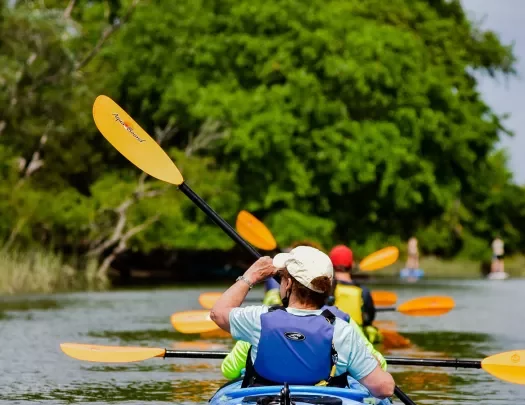 Rear shot of group of kayaking guests. Forest in front of them.