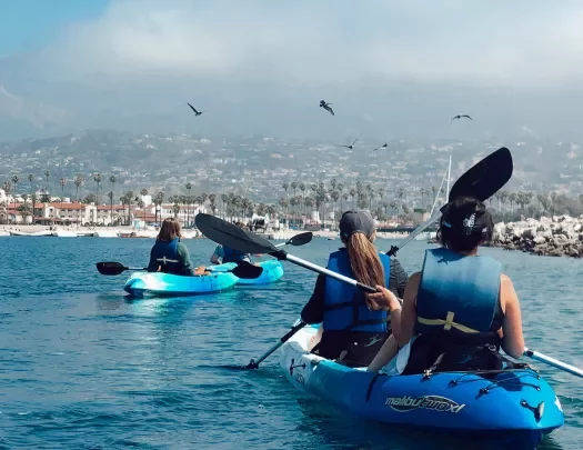Four guests in kayaks, Cali coast, large cloud and birds in background.