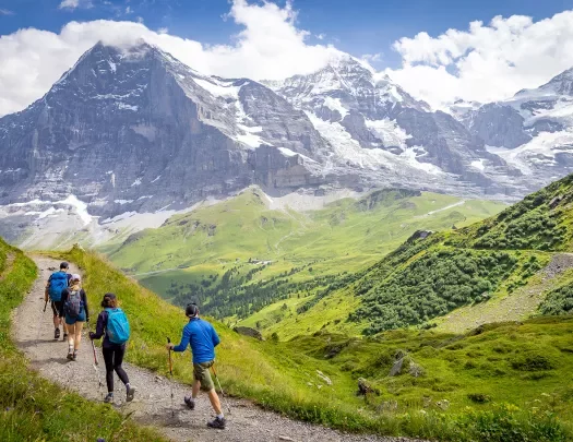 Four guests hiking on grassy road, Mount Eiger in background. 