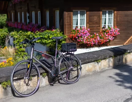 Shot of ebike in front of dark wood house.