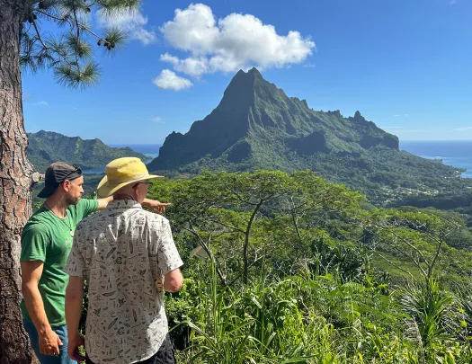 Looking out over mountains and jungles in Tahiti