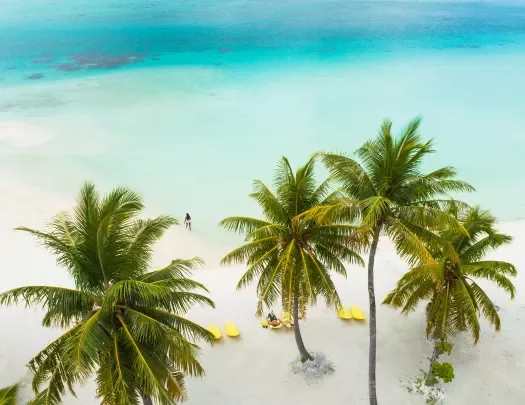 Palm trees and white sand beaches in Tahiti