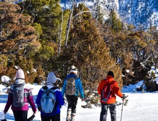 Backroads guests cross country skiing downhill