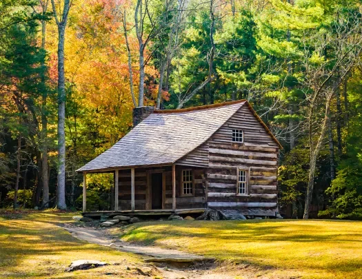 Shot of log house surrounded by forest.