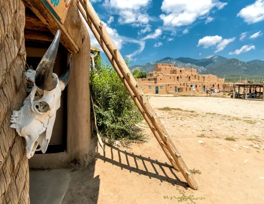 Bull's skull mounted on structure