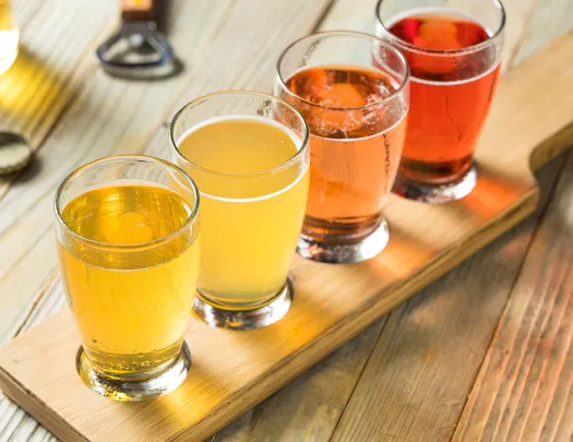 Refreshing Hard Cider Flight of Beers to Drink