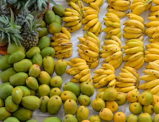 A collection of fresh fruits in Tahiti