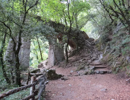 Shot of old, rocky bridge in forest.