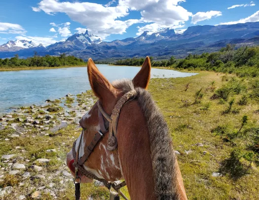 Point of view shot on horseback, looking out to snowy mountains, small lake.