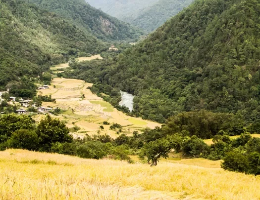 Valley among mountains in Bhutan