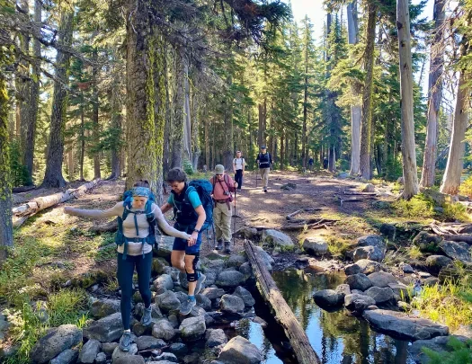 Five guests hiking through forest, two walking over small stream.