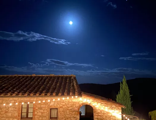 Small brick house, blue night sky and moon in background.