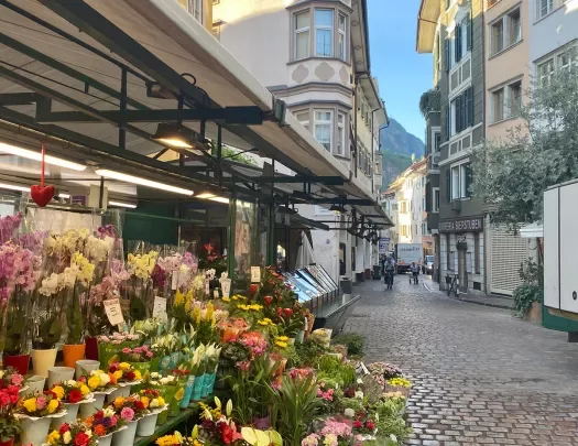 Shot of Italian town, brick road, flower shop in foreground. 