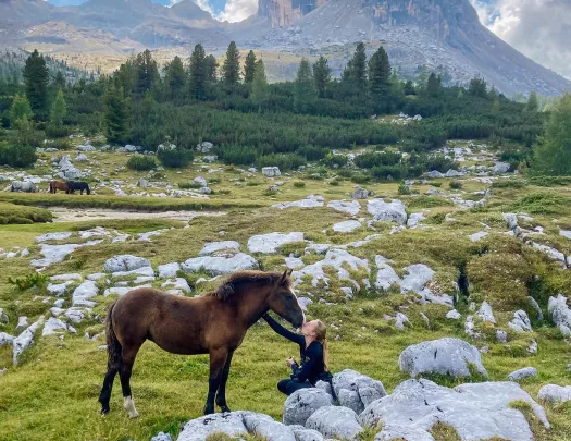 Guest with horse in valley, mountains in distance.