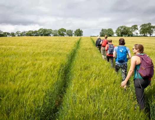 Backroads guests hiking in grassy field.