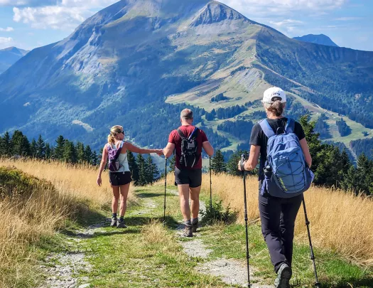 Three guests walking down meadow trail, marge mountain in background.