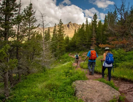 Backroads guests hiking through mountain pass