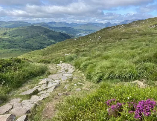 Stone Path Ireland