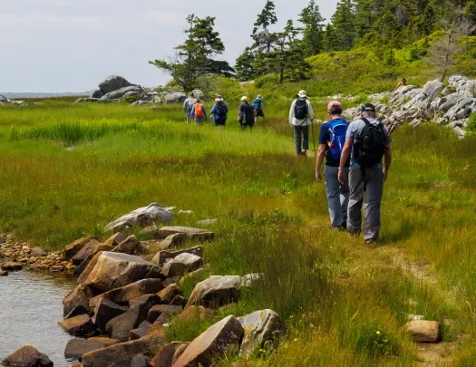 Group of guests walking along meadow trail, forest to right, small pond to left.