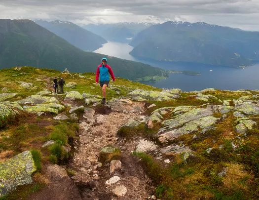 Hiker exploring a foggy Norwegian hillside