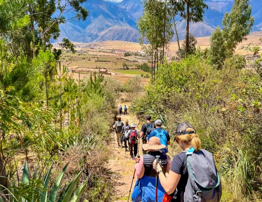 Group of guests walking down desert trail, cacti and shrubbery all around them.