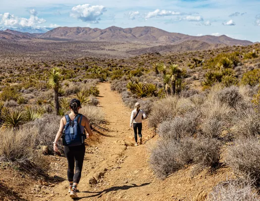 Two guests hiking on desert trail, vast desert landscape all around.