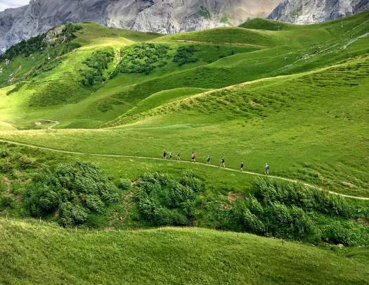 Side shot of guests walking on hilly meadow, mountains in distance. 