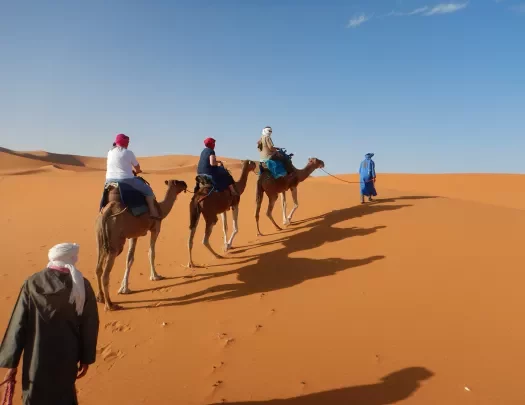 A line of travelers on camels in dunes