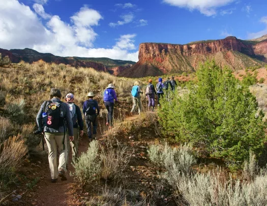 Guests treking in the plains of desert