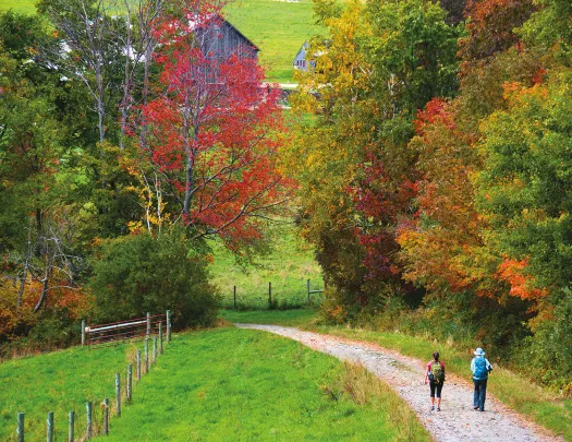 Two guests walking down autumnal road, towards wooden building.