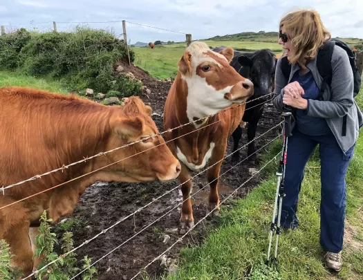 Guest Talking to Cows Whales