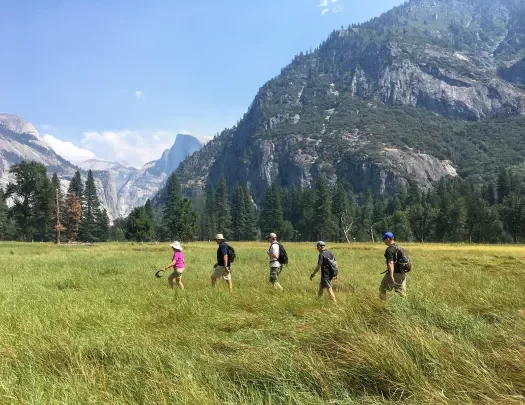 Guests hiking through grassy field, mountains in background.