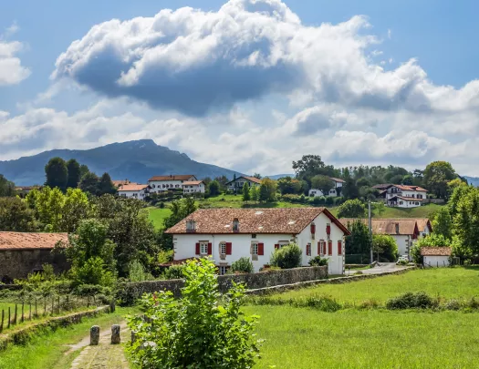 Small town in a rustic town, surrounded by trees and grass