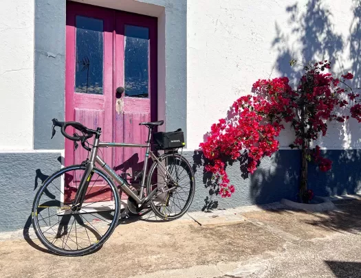 A performance bicycle leaning against a red door