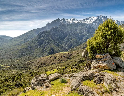 Grassy, rock covered hill with large mountains in the distance