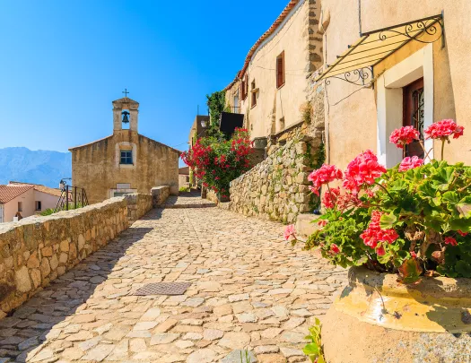 Stone walkway with pots filled with plants and a church building in the distance