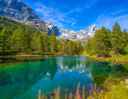 Large, blue lake surrounded by tall pine trees and mountains