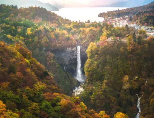 Colorful trees with a large waterfall in the middle