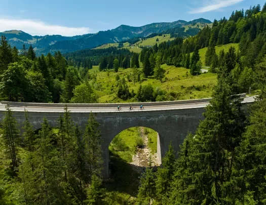 Tall bridge with an archway in the middle of a grassy field