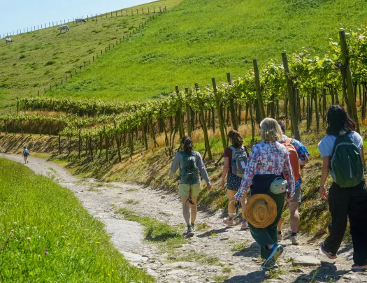 Group of hikers descending down a small hill on a dirt path