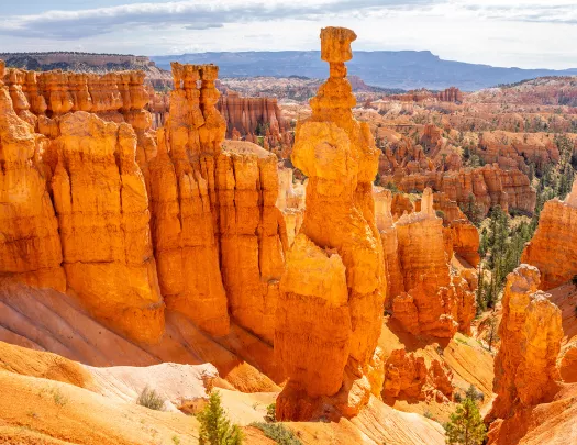 Large, separated canyons in a valley of orange canyons